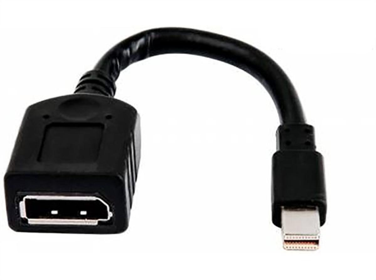 HP Bulk Mini DisplayPort zu DisplayPort Adapter 